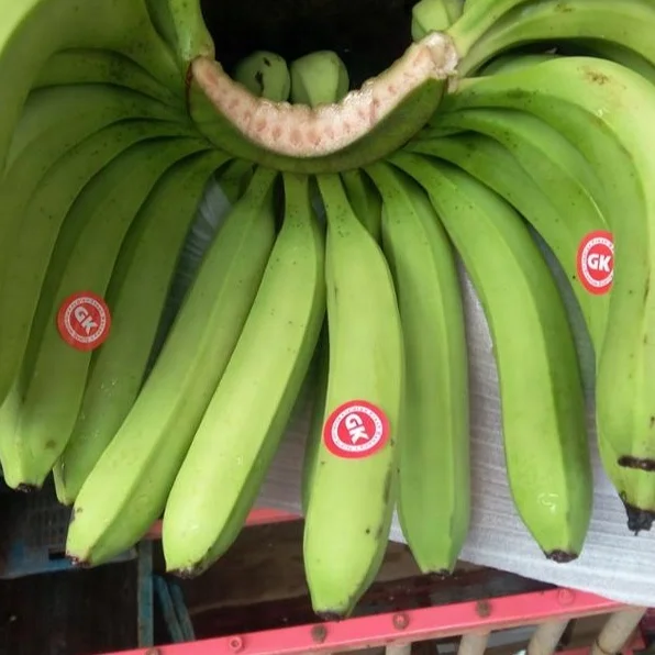 BANANA1.jpg