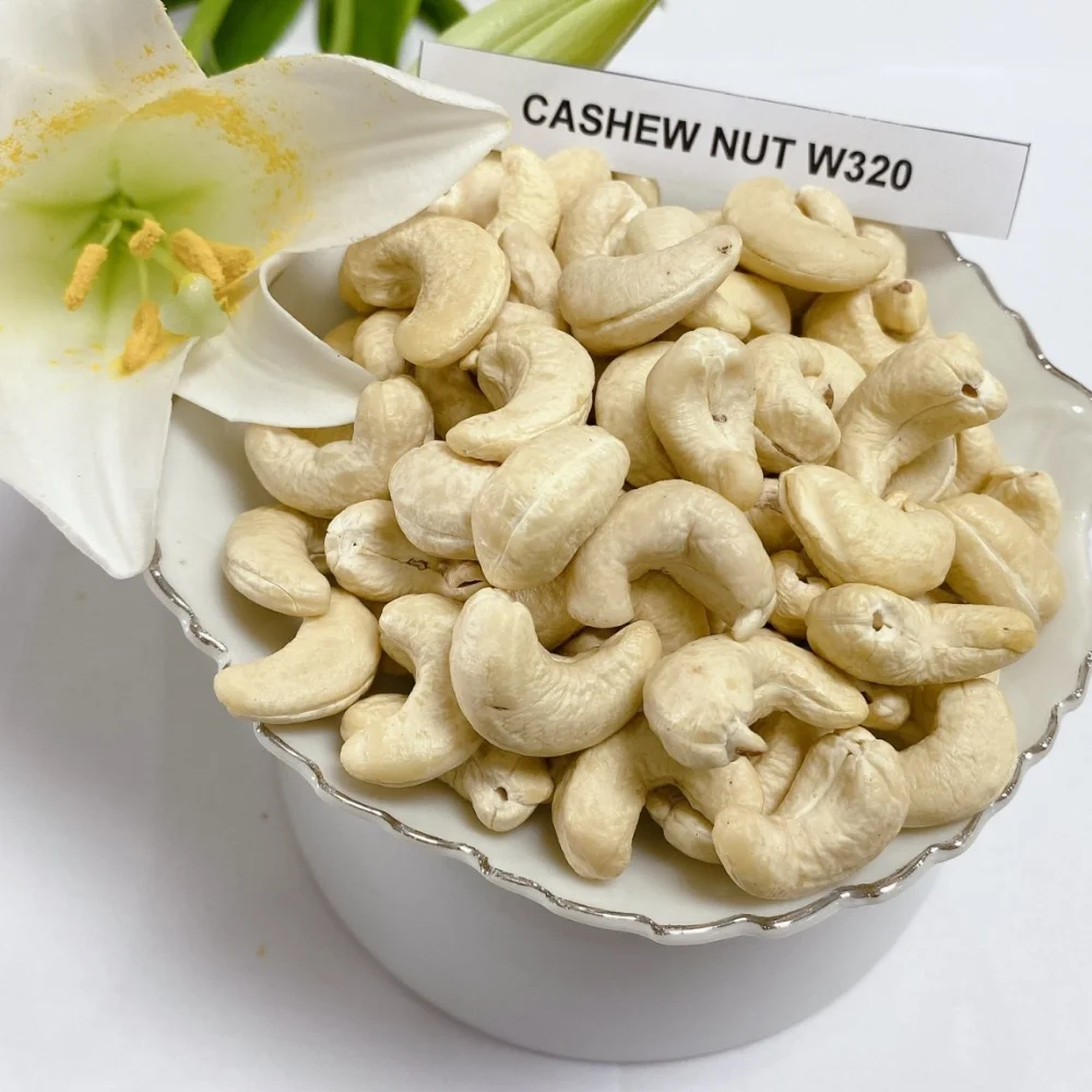 Оптовая продажа высокое качество низкая цена Бенин ядра кешью органические необработанные орехи для хорошего здоровья