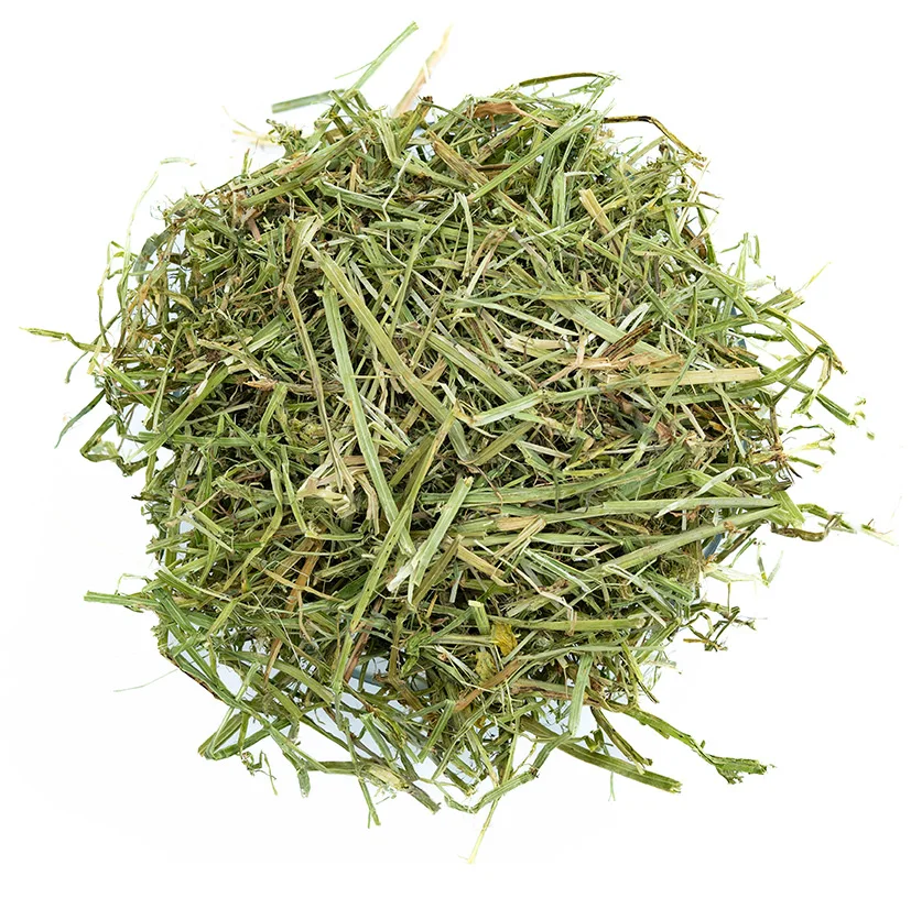 Alfalfa Hay Lucerne hay teff hay Eragrostis  alfalfa pellets For Sale +27739729209
