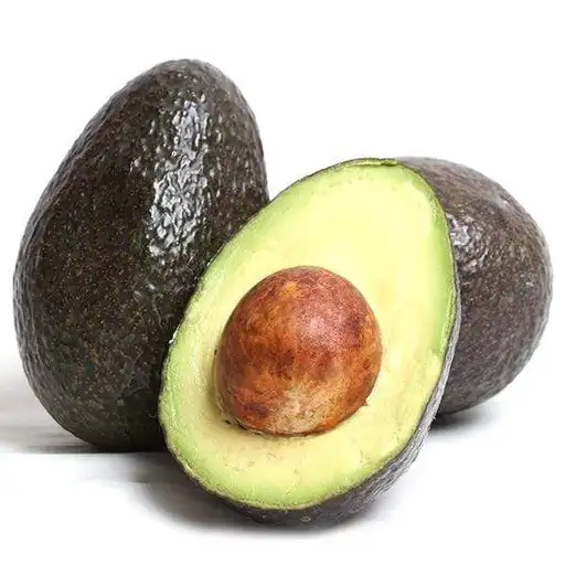 Quality Wholesaler Hass Avocado Premium Quality Fresh green avocado
