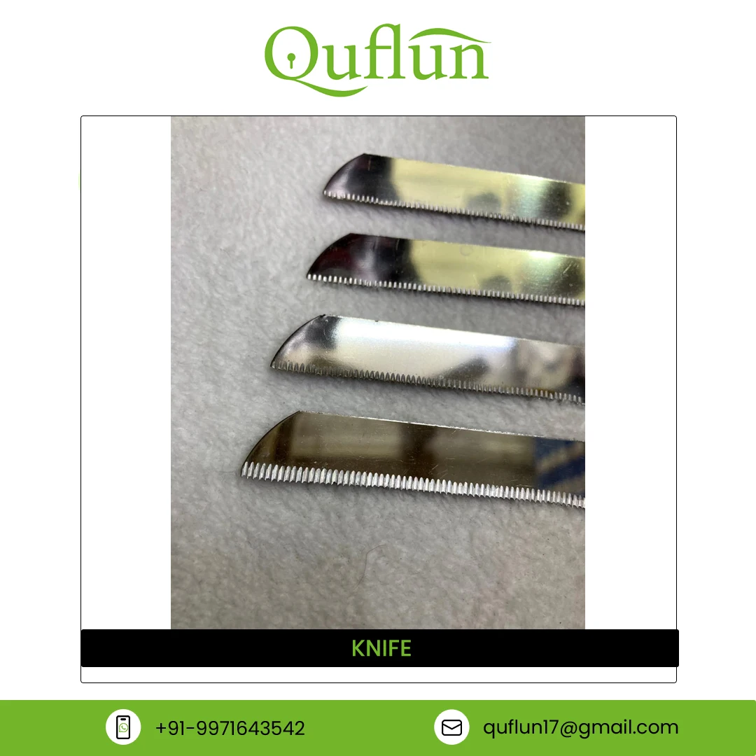 Made In India High Quality Knife Plastic Handle Material Stainless Steel Blade Kitchen Knives for Vegetable and Fruit Cutting