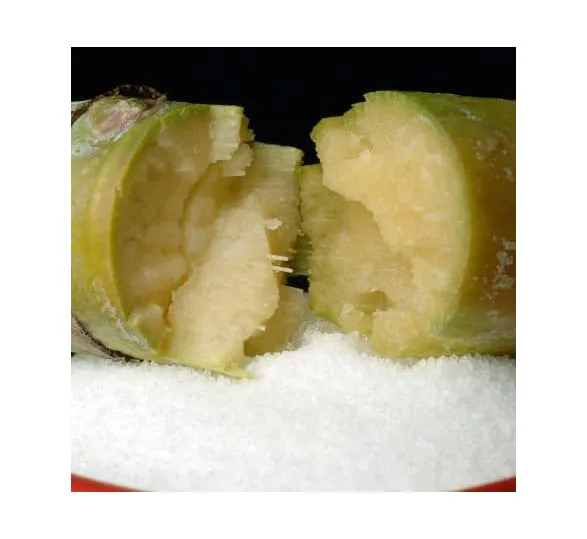 First Grade Quality White Sugar S30, Sugar Icumsa 45, Raw Sugar For Sales Cheap Price