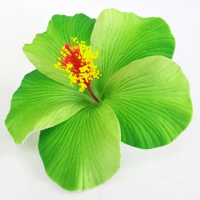 Best seller good quality Handcraft Handmade artificial hibiscus foam flower with special tattoo and color pattern