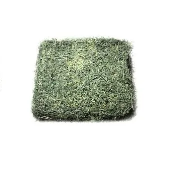 Quality alfalfa hay bays / Alfaifa pellets / Dehydrated Alfalfa for sale Alfalfa Hay, Rhodes Grass, Oats Grass for sale