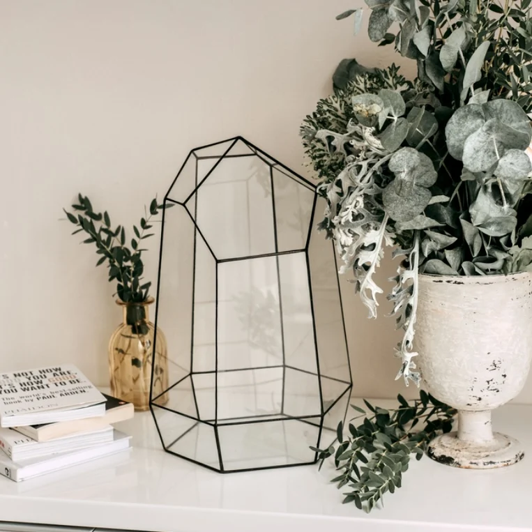 Irregular Shape Table Top Glass Terrarium with Black Metal Frame for Indoor Plant and Flower Decorations
