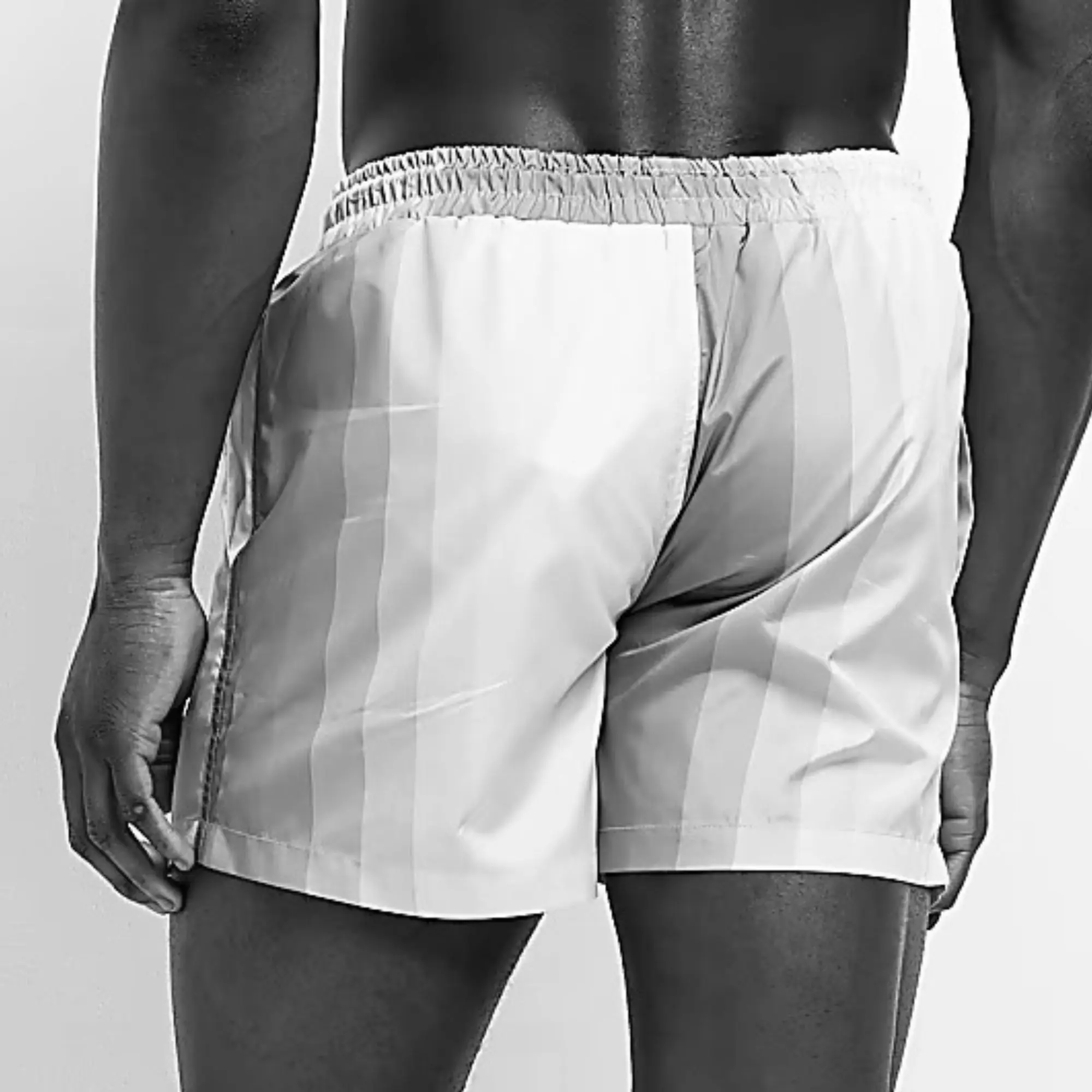 Regular Fit 100% Nylon Polyamide Side Slip Pockets Elasticated Waist Grey Striped Regular Fit Iridescent Swim Shorts