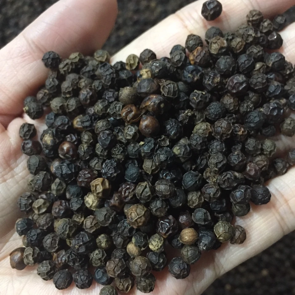 Organic Spicy BLACK PEPPER with Best Price in Bulk Quantity Natural Vietnam Pepper Hot Selling Dried Black Pepper