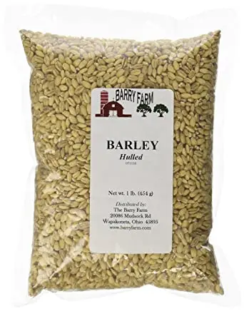 barley (18).jpg
