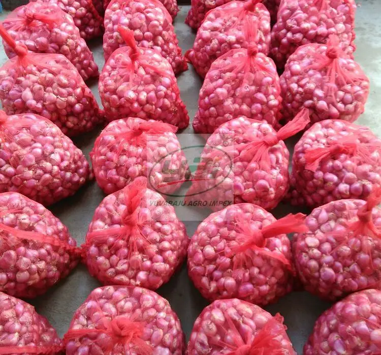 Fresh Red Onion in reasonable pricing Big and Small Size Onion Fresh Vegetable Suppliers and Exporters In India