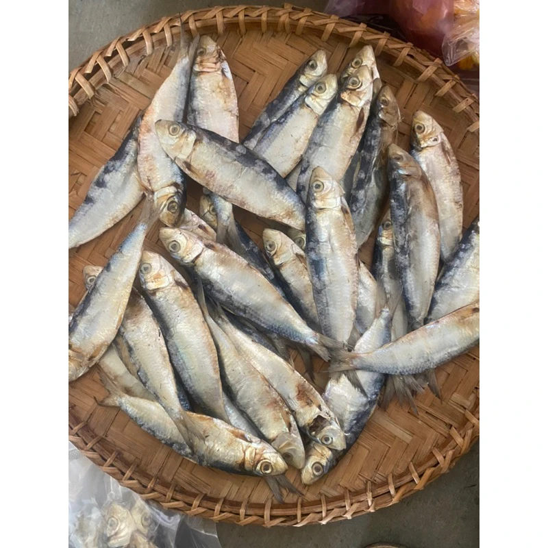 Hot-selling Natural Dried Herring 100% Top Vietnam Seafood with cheap price and premium quality