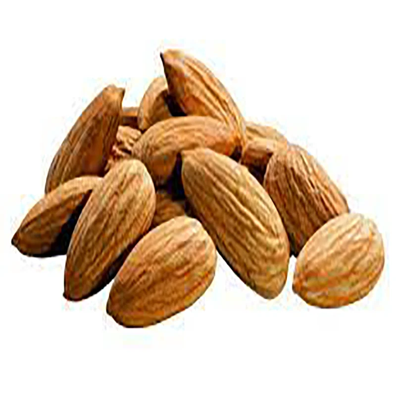 Factory price Almond Nuts / Sweet Almond Nuts
