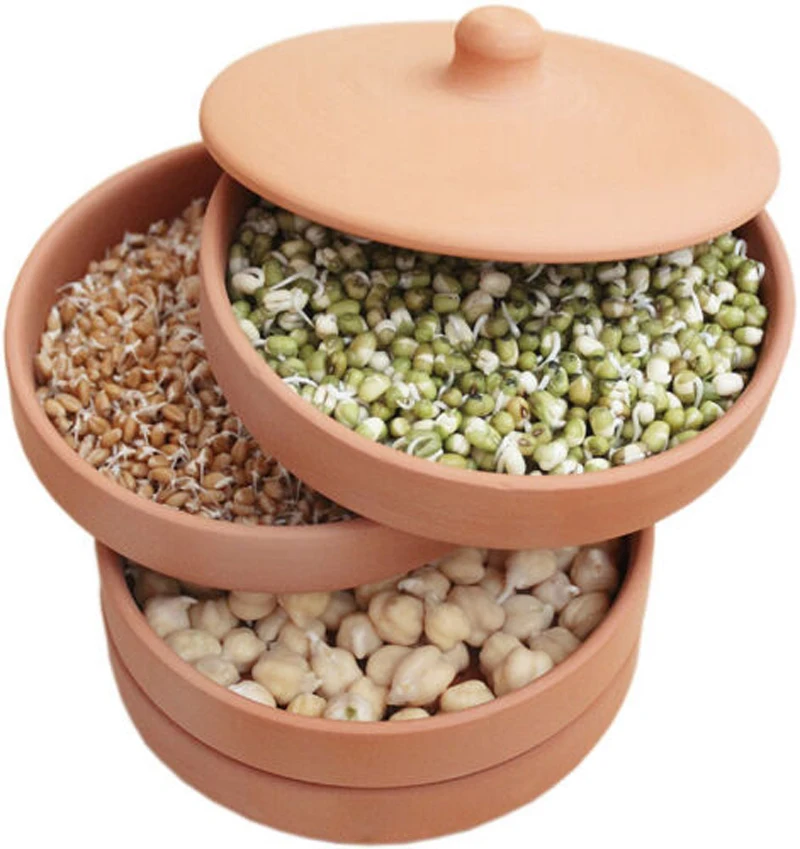 2024 Sprouting Ceramic Tray Ceramic Seed Sprouting Tray Clay Sprouting Pot Terracotta Clay Sprouter For Grain And Seeds
