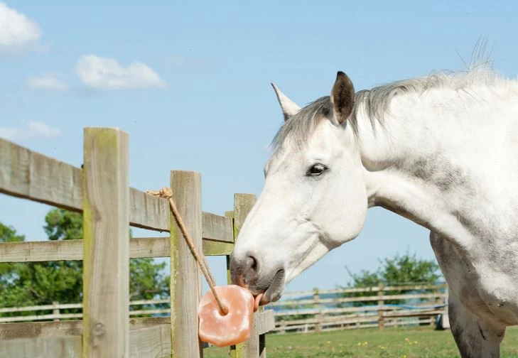 2024 Wholesale Himalayan Animal Horse Lick Natural Pink Salt Natural shape salt with strong hanging Rope Customized Packing