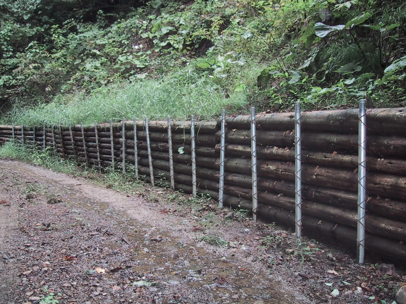 Ground Stake, Galvanized Carbon Steel anchor spike