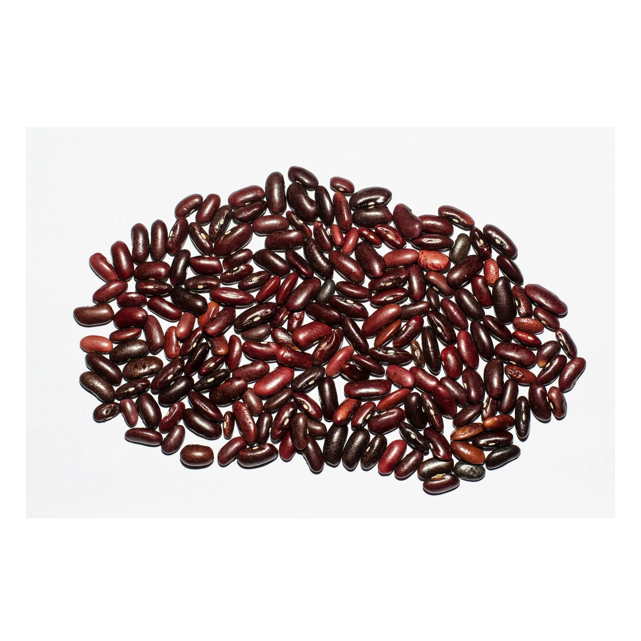 Красная фасоль, Органическая сушеная мелкая темно-красная фасоль, покупатель (Rajma)