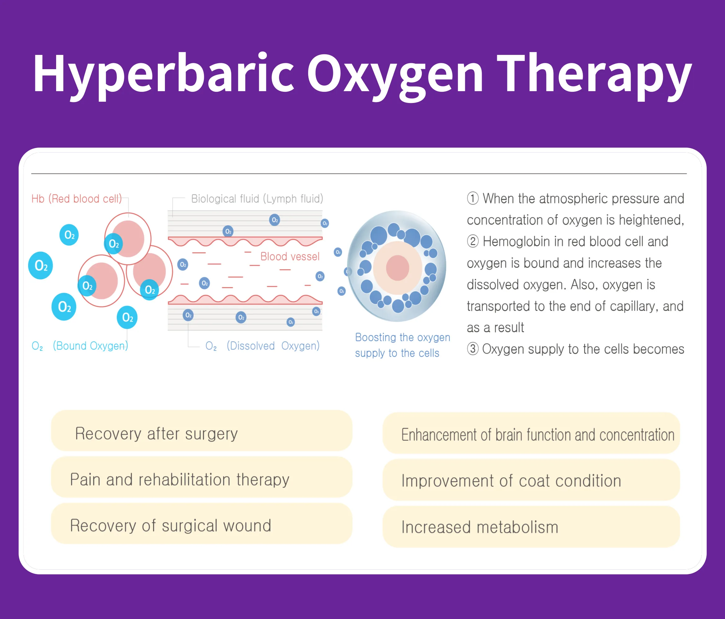 Animal Oxygen Chamber Vet Clinic Oxygen Chamber for Pets Animal Hyperbaric Oxygen Chamber Therapy