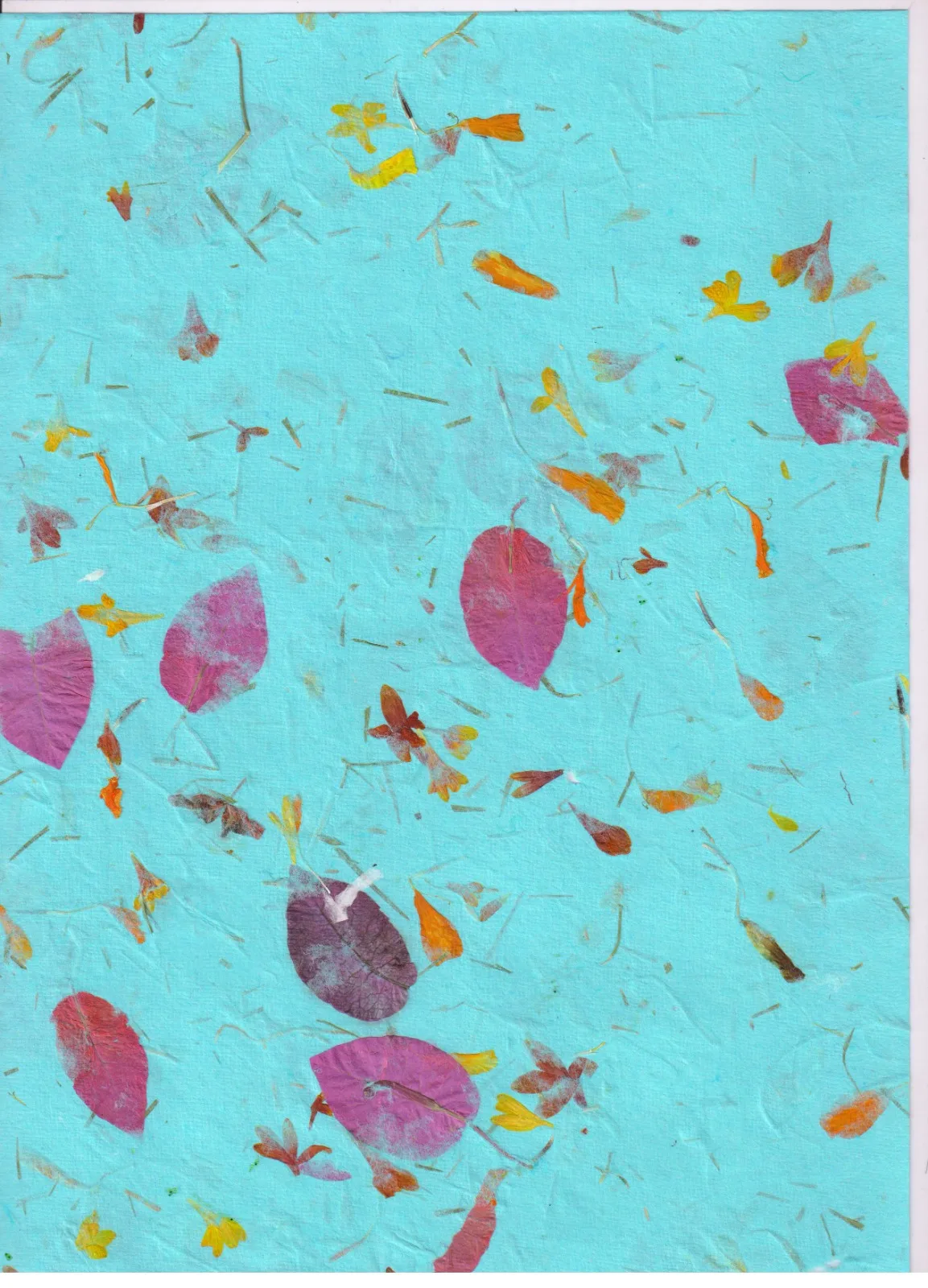 Handmade Flower Paper A4 ,A5 ,A6 Customized Size Sheets 70 Cm X 100 Cm Paper Colorful Flower Paper Export Quality in 2024