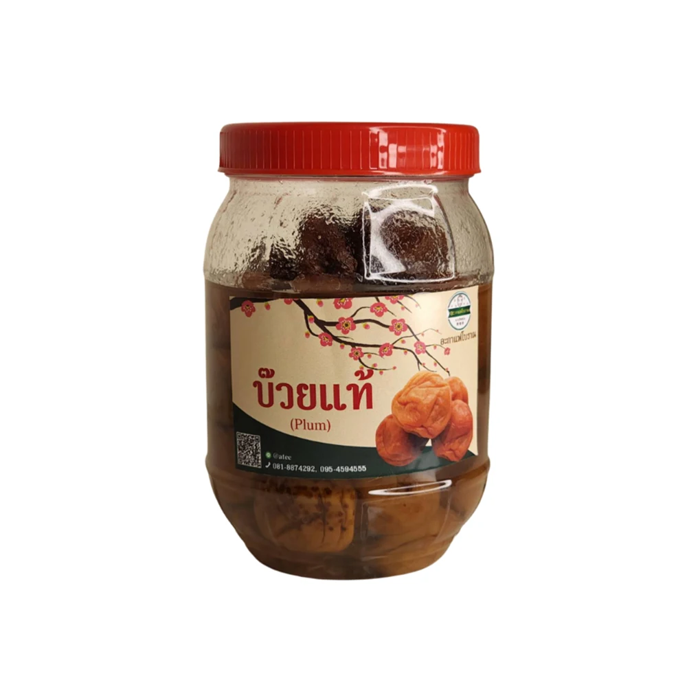 Plum High Premium Grade Plums are Firm Fluffy Not Flimsy Fresh Fruit with Beautiful Colors from Thailand