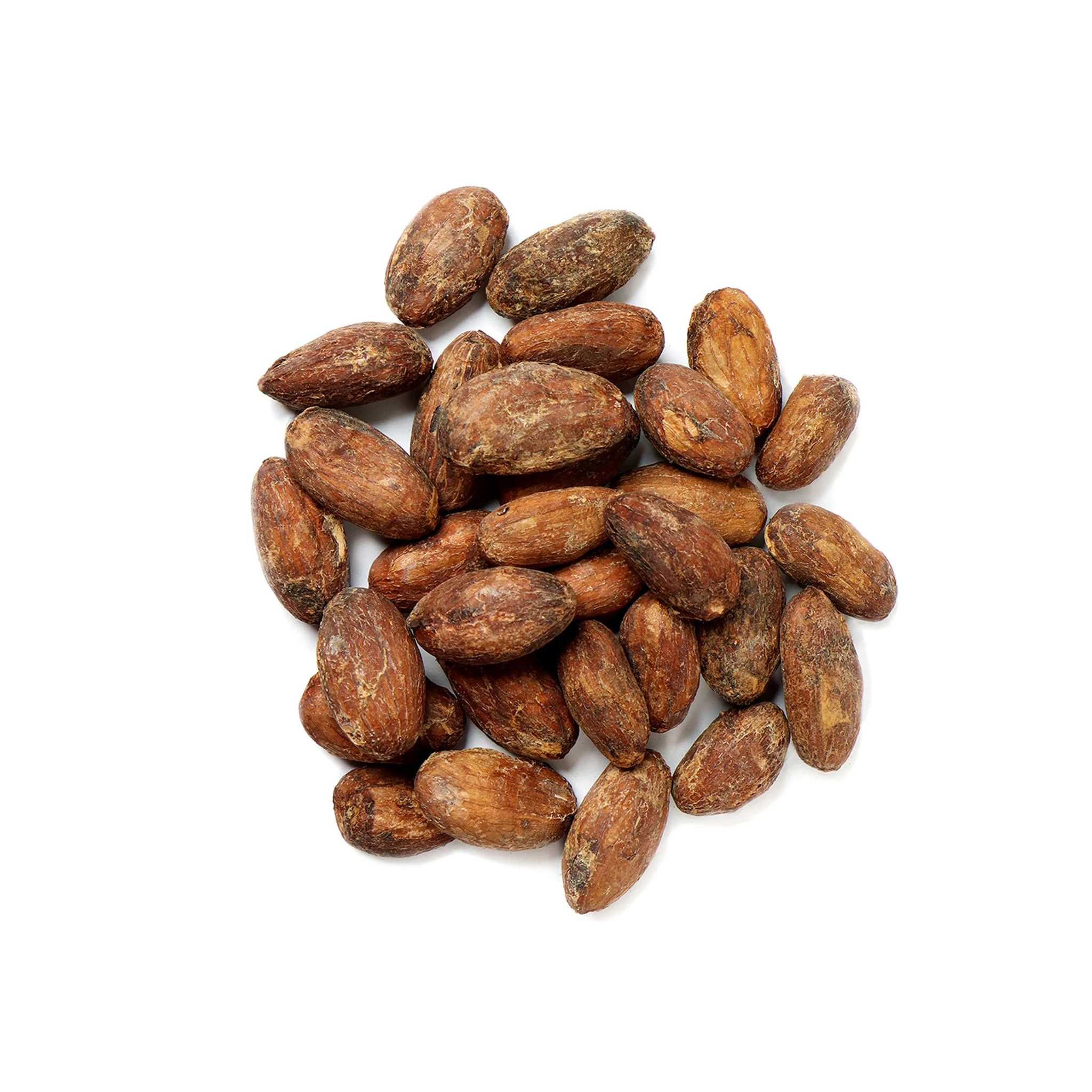 Wholesale Top Quality Cocoa Bean In Cheap Price
