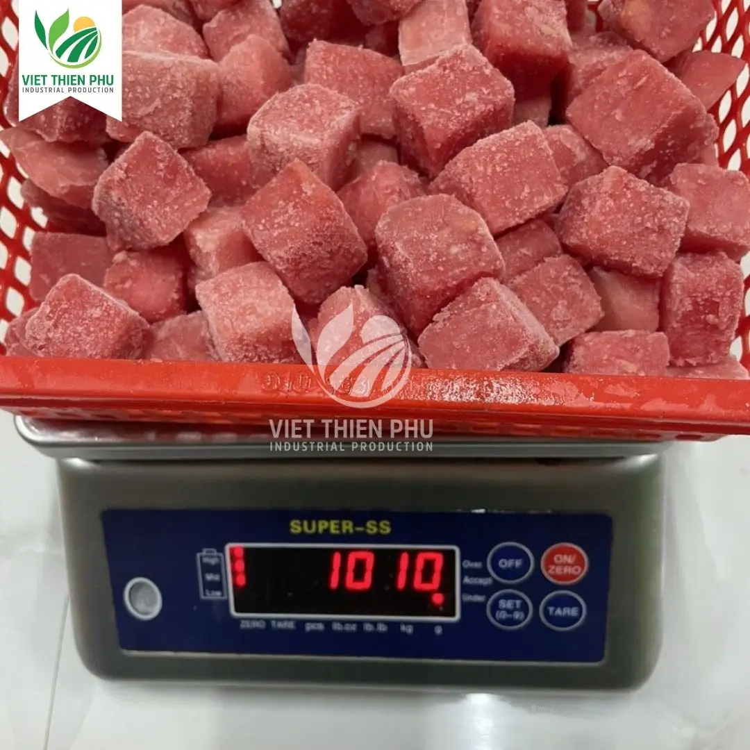 Fresh Sweet Watermelon, Seedless Watermelon for Sale, Wholesale Watermelon Fruit Sweet and Juicy