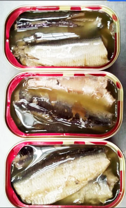 Canned Sardine fish in vegetable oil 125g club cans