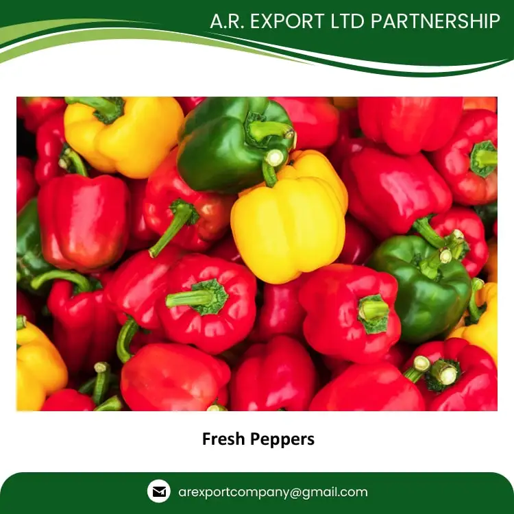 Exporting Highest Quality Wholesale Selling Fresh Bell Peppers for Genuine Wholesale Purchasers