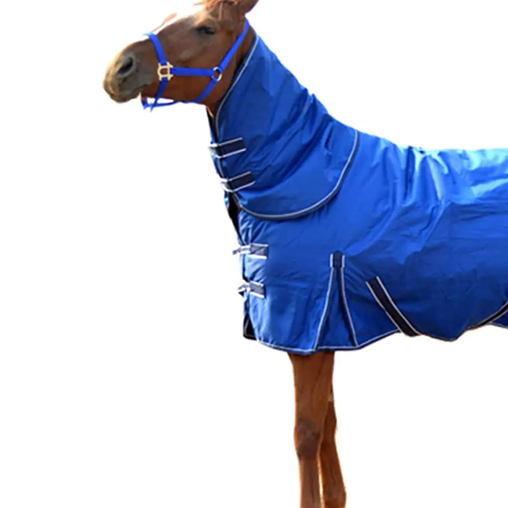 Custom Made Your Own Design Horse rugs/ Professional 2023 Customized Fabric Light Weight Wholesale Horse Riding Rugs