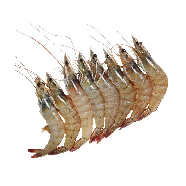 Hot Sale Seafood Frozen Vannamei Shrimps HLSO with Cheap Price Quality White Prawns for Export Bag Bulk Style
