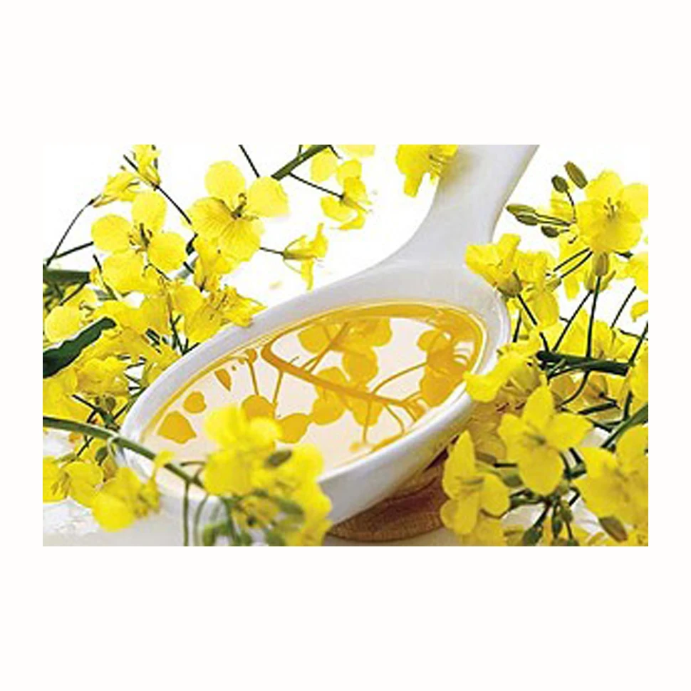 100% Refined Rapeseed Oil / Canola Oil For Sale / Pure Wesson Canola Oil ISO HALAL HACCP KOSHER Certified