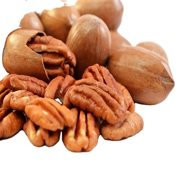 Good Quality Pecan nut in sale