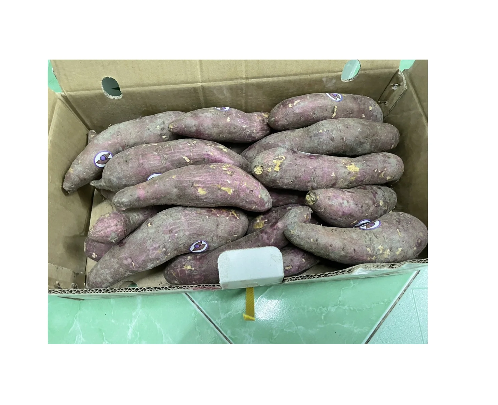 Новое поступление, свежий сладкий картофель, Египетский оптовый сладкий картофель, 100% натуральный из Вьетнама