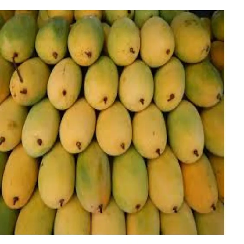 Mango Cat Hoa Loc Mango Cat Chu Export Quality 100% Natural No Preservatives / Frozen Product