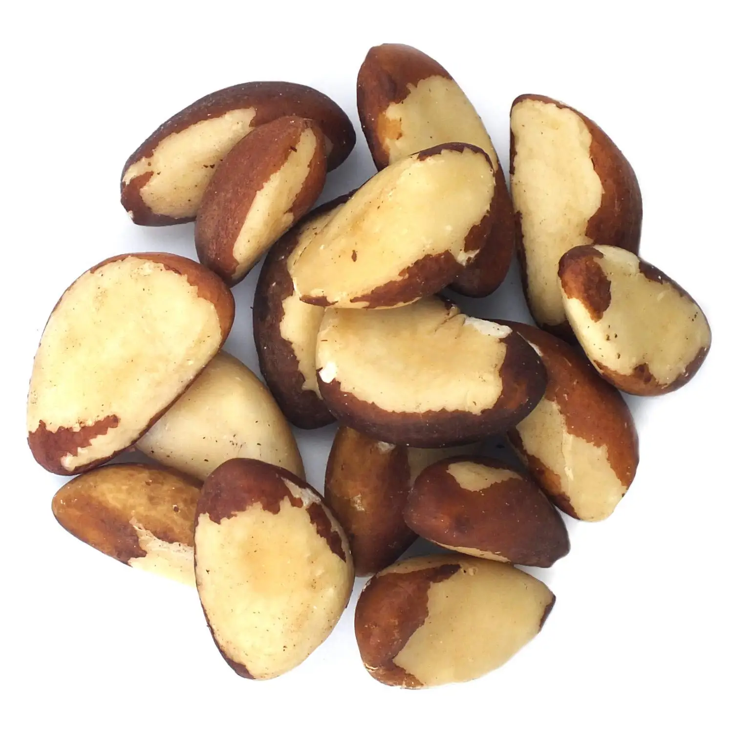 Top Grade Raw Brazil Nuts Brazilian nuts kernels Large size shelled nuts