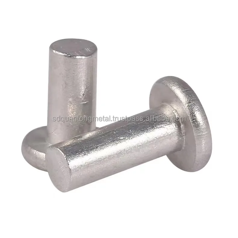 Aluminium Steel Material  Head Blind Rivet Nail Aluminum Boat Rivets Common Nails
