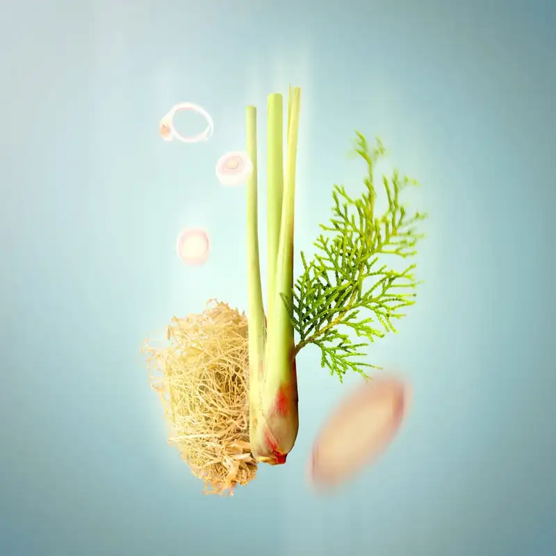 SPRING STREAM  Embracing Lemongrass Shower Steamers Aromatherapy Variety Pack of 10 Shower Bombs with Essential Oils