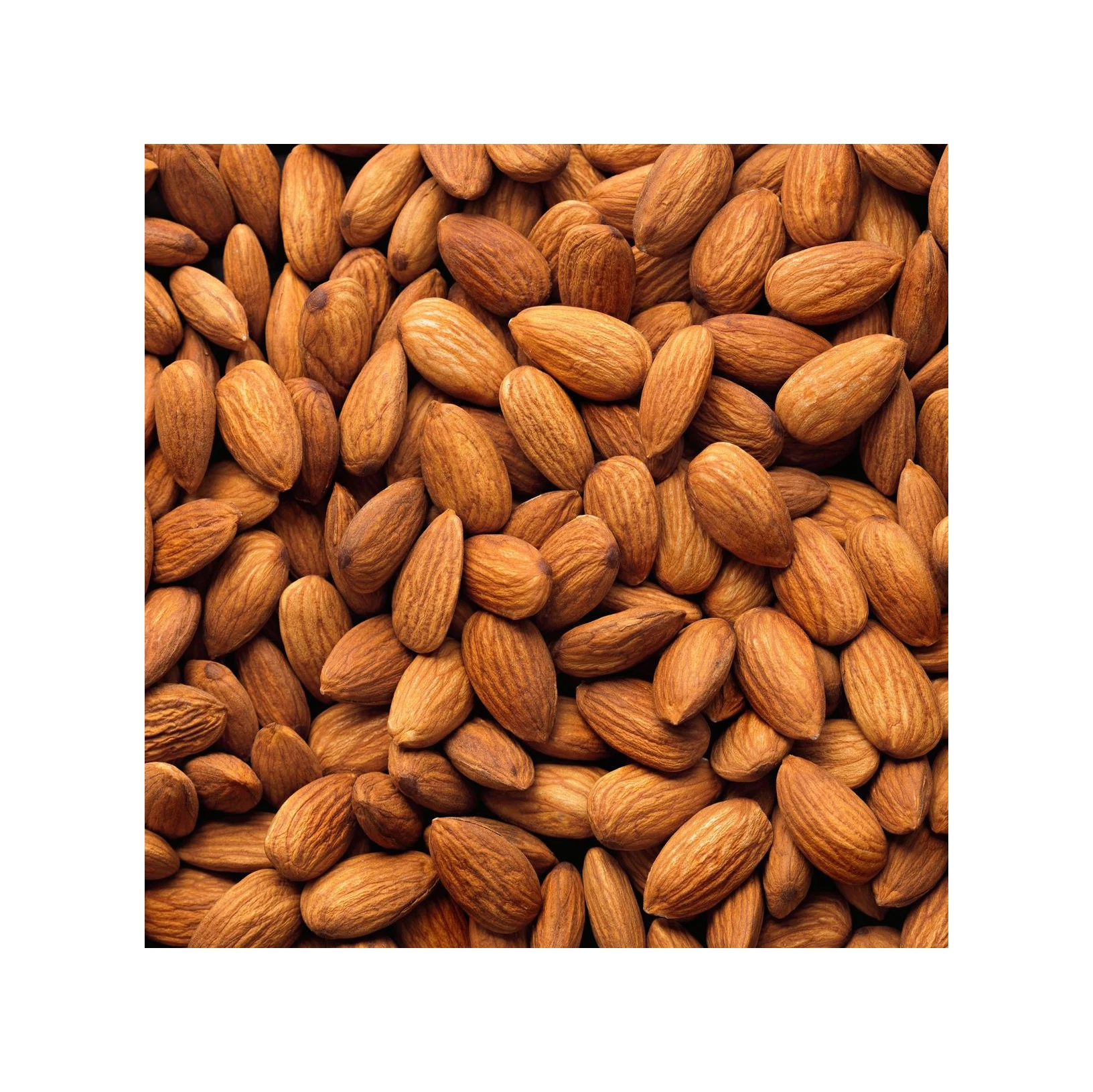 100% Pure Sweet Almond Essential Oil Wholesale Price Sweet almond oil aroma diffusion and cosmetic use