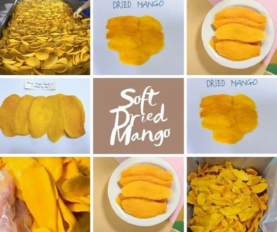 DRIED MANGO FOR EXPORTING FROM VIETNAM AT FACTORY PRICE MEETS EU STANDARDS