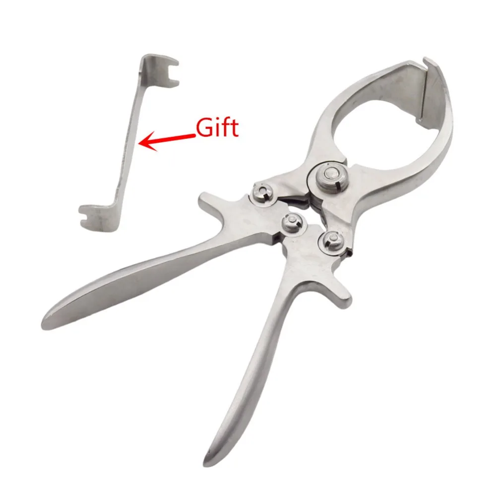 Stainless Steel Without Blood Pig Sheep castration Clamp Castration Tool Castration Forceps BEST quality cheap price supplier