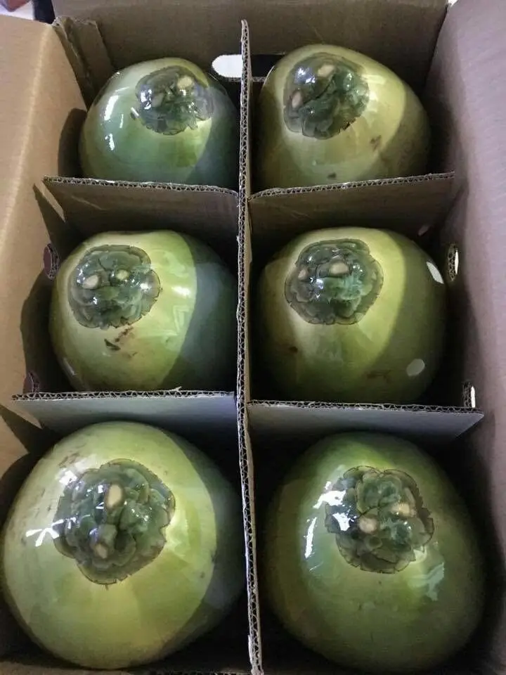 Молодой вьетнамский кокосовый свежий частный бренд. Фруктовый продукт осушенный кокос Whatsapp