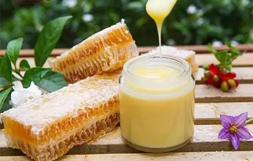 Royal jelly honey 860g High Quality Wholesale Made In Viet Nam