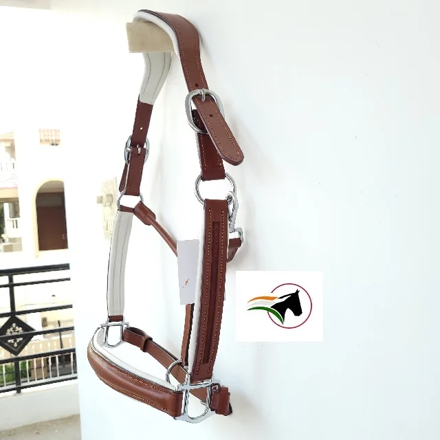 SPORTS HORSE HALTER HEAD COLLAR WITH CONIC SHAPE NOSE PIECE AND SUPERIOR QUALITY BLACK HARDWARE AND SUPER SOFT PADDED