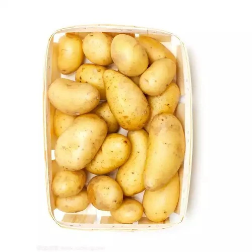 Most Popular vegetable fresh potato export potato wholesale price
