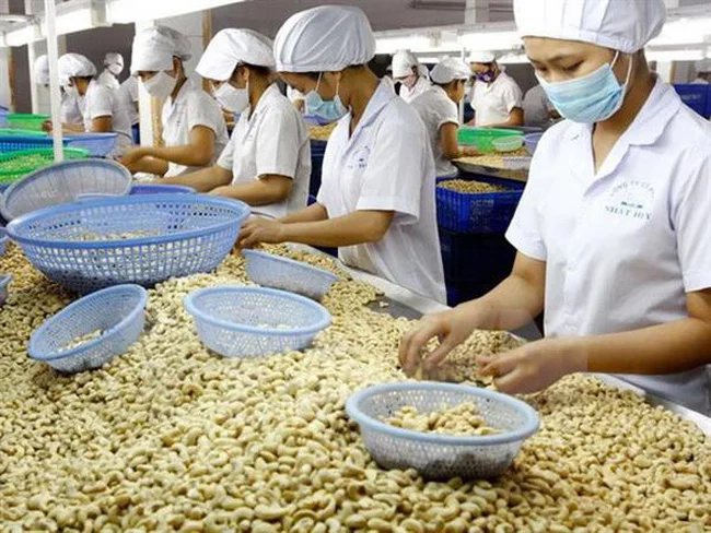 AN CHAU VN-кешью 500 г в упаковке обработанная кешью-орех продажа сушеных орехов укороченном стиле качественное сырье