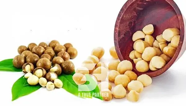 Вьетнамские Сушеные Орехи Macca высокого качества по конкурентоспособной цене, контакты Ms. Нэнси + 84 981 85 90 69