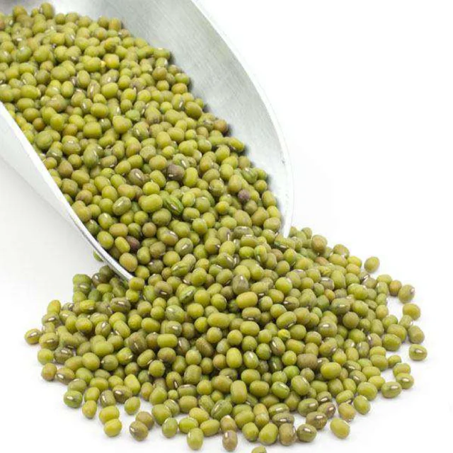 Hot Selling Price Of Green Mung Beans / Whole Moong Beans In Bulk Quantity