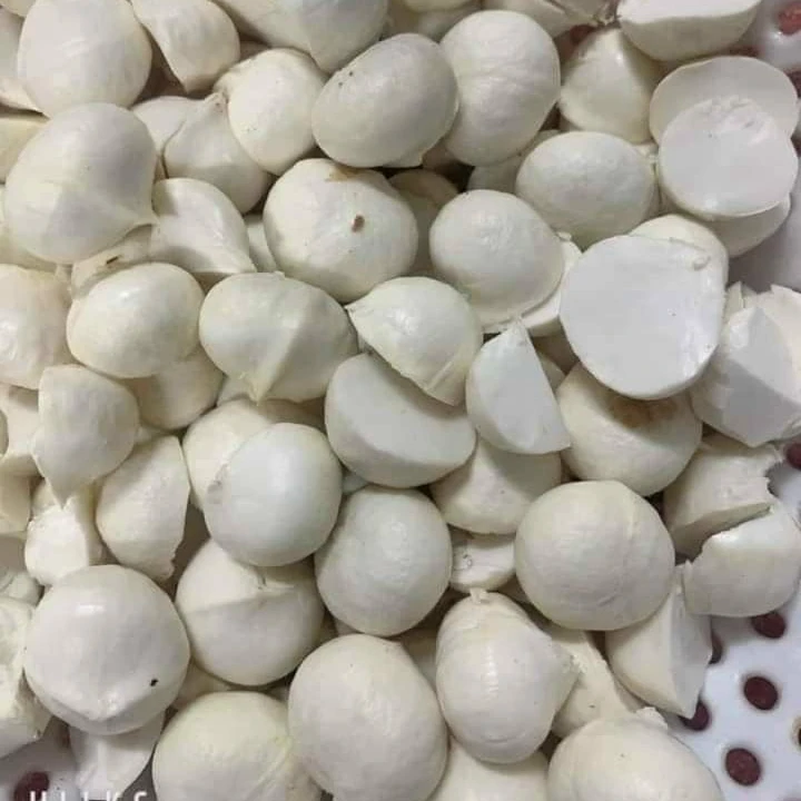 Высококачественные орехи макадамия из Вьетнама самая дешевая цена недавно Мэри