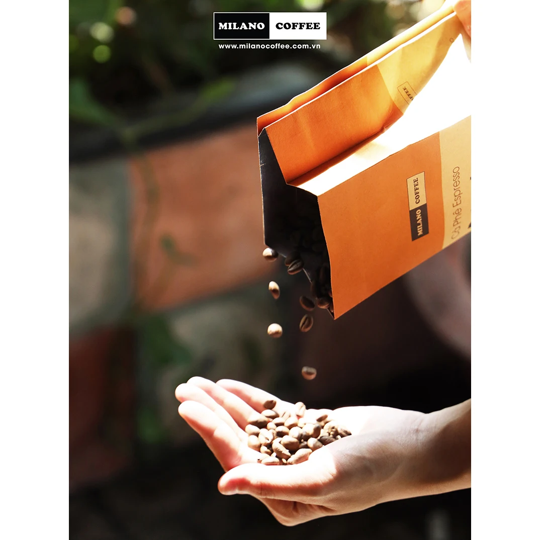 Wholesale Medium Roasted Robusta Espresso Coffee Beans For Daily Drink Custom Package Orders Produced In Vietnam