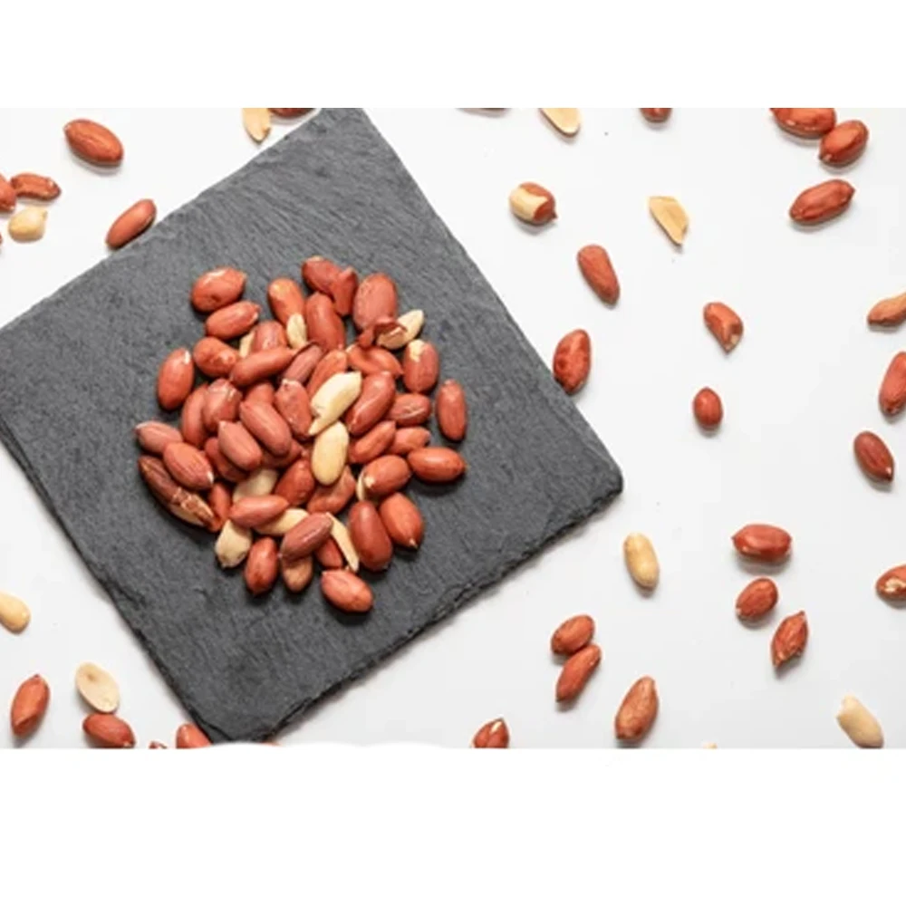 Premium Quality Best Offer Brand New Product Helathy & Fresh White Grow Peanut At Discounted Price