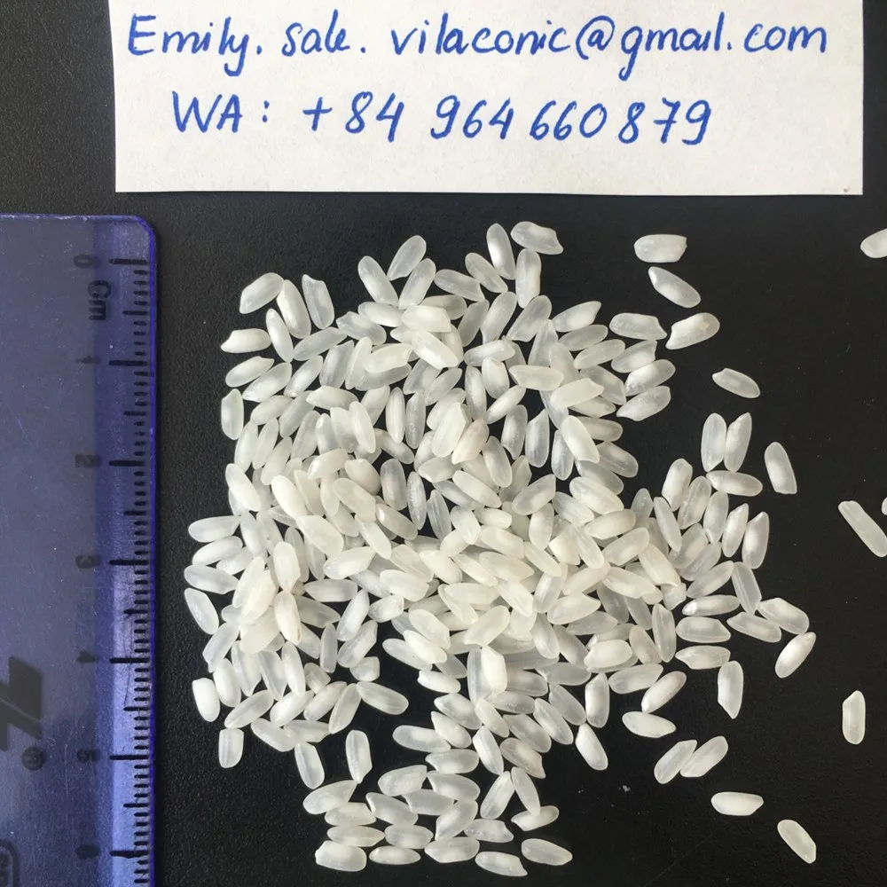 MEDIUM GRAIN CAMOLINO EGYPTIAN WHITE  RICE 5% BROKEN EXPORT WHOLESALE PREMIUM FROM VIETNAM MANUFACTURER +84 964 660 879