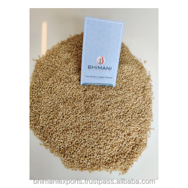Premium and Best Quality White Sesame Seeds Wholesale for Human Consumption and Industrial Use